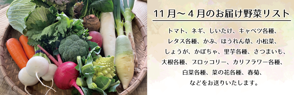 EJ007【戸張農園】厳選おまかせ野菜セット＆お米5kg（こしひかり 白米