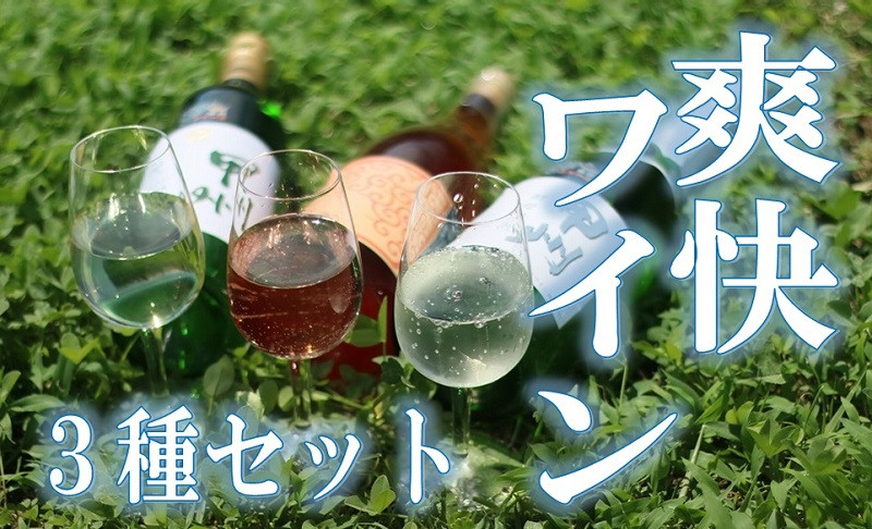 【勝沼ぶどうの丘】爽快ワイン３種セット【日本ワイン】