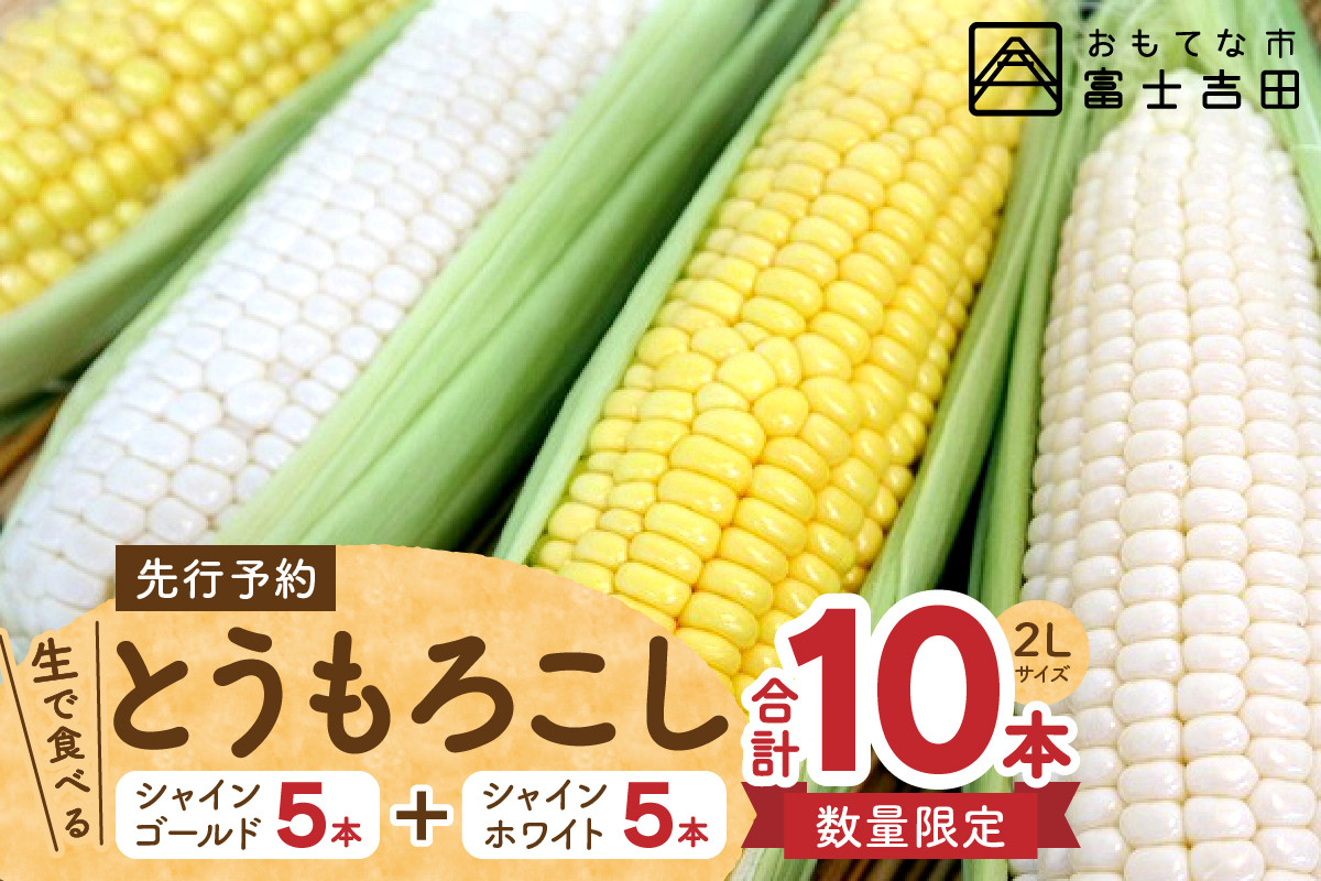 数量限定 先行予約 生で食べるフルーツとうもろこし シャインホワイト ゴールド 計10本 山梨県富士吉田市 ふるさと納税 ふるさとチョイス