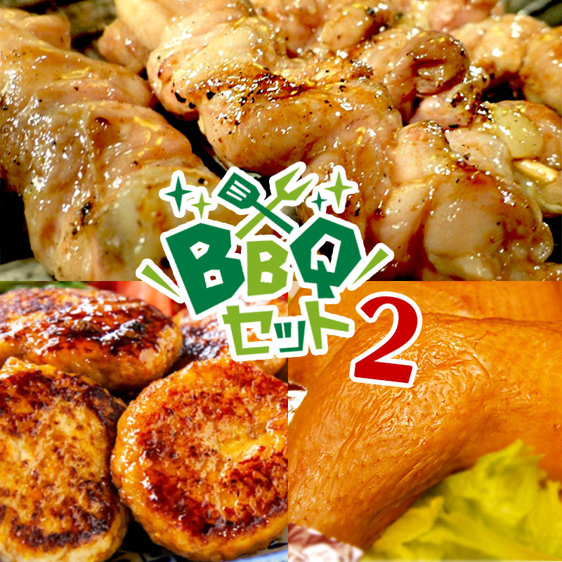 B2-2113/BBQ(バーベキュー)セット2