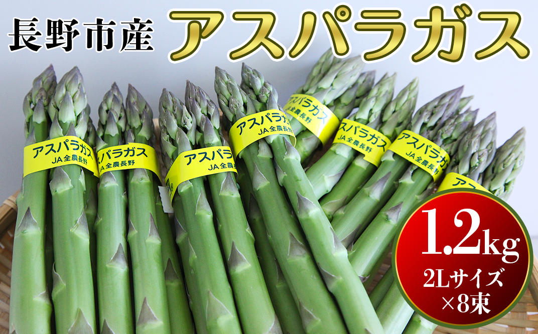 J0614長野市産アスパラガス1 2kg 2lサイズ 8束 長野県長野市 ふるさと納税 ふるさとチョイス