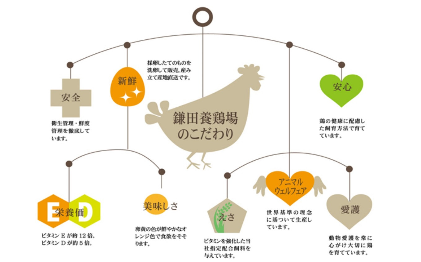 古米 鳥の餌 家畜餌 古い米 - 米