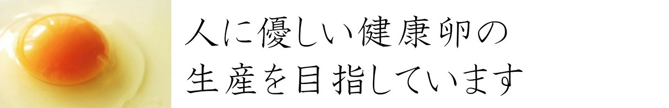 定期便】鎌田養生卵 30個 ×3ヵ月 アニマルウェルフェア 農場HACCP認証