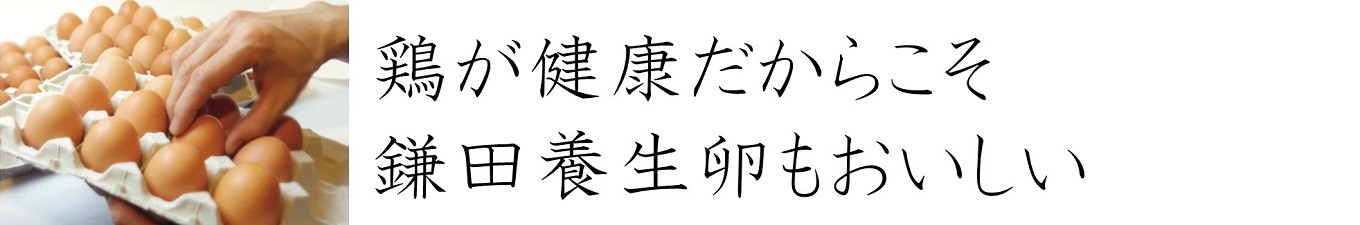 定期便】鎌田養生卵 30個 ×3ヵ月 アニマルウェルフェア 農場HACCP認証