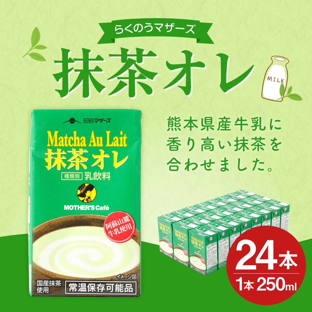 抹茶オレ 250ml×24本 1ケース 抹茶ミルク 乳飲料 乳性飲料 - 熊本県宇