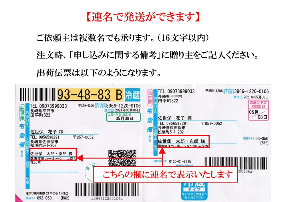 X764 母の日カーネーション花束セット - 長崎県佐世保市｜ふるさとチョイス - ふるさと納税サイト