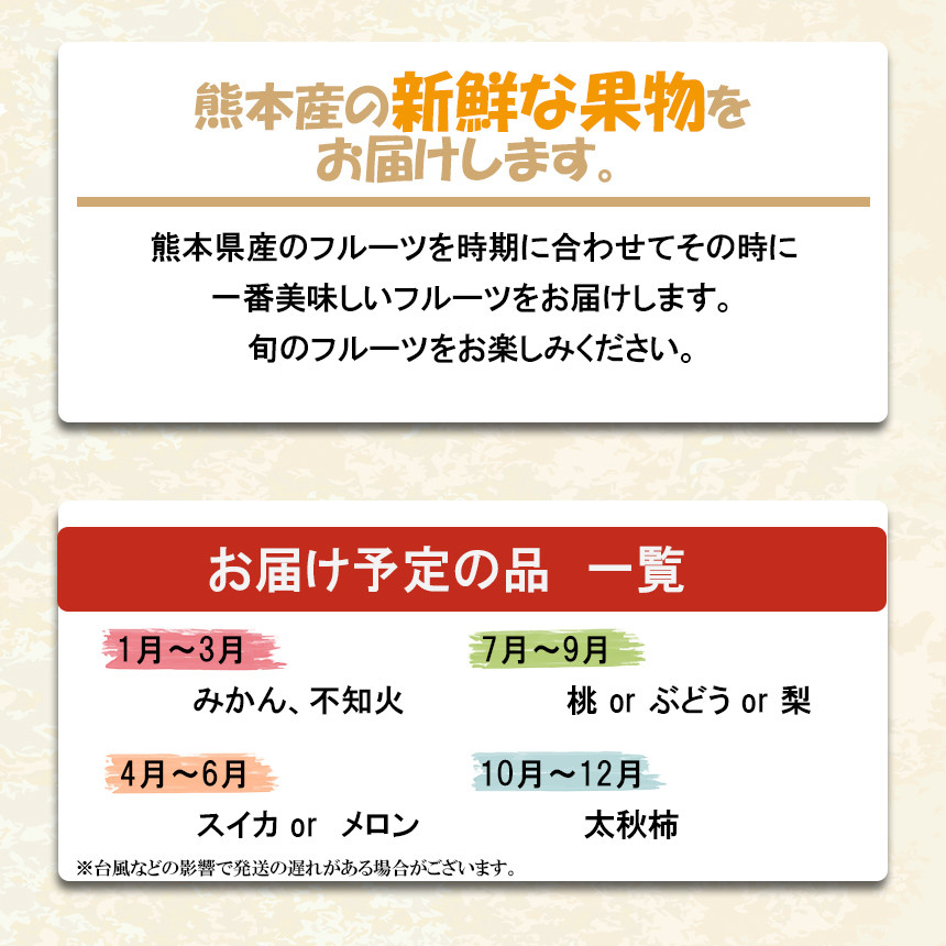 A3 定期便4回 春夏秋冬 季節の新鮮フルーツ 野菜セット 6 10品目 詰め合わせ 熊本県和水町 ふるさと納税 ふるさとチョイス