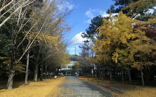 京丹波町唯一の高校・京都府立須知高校。