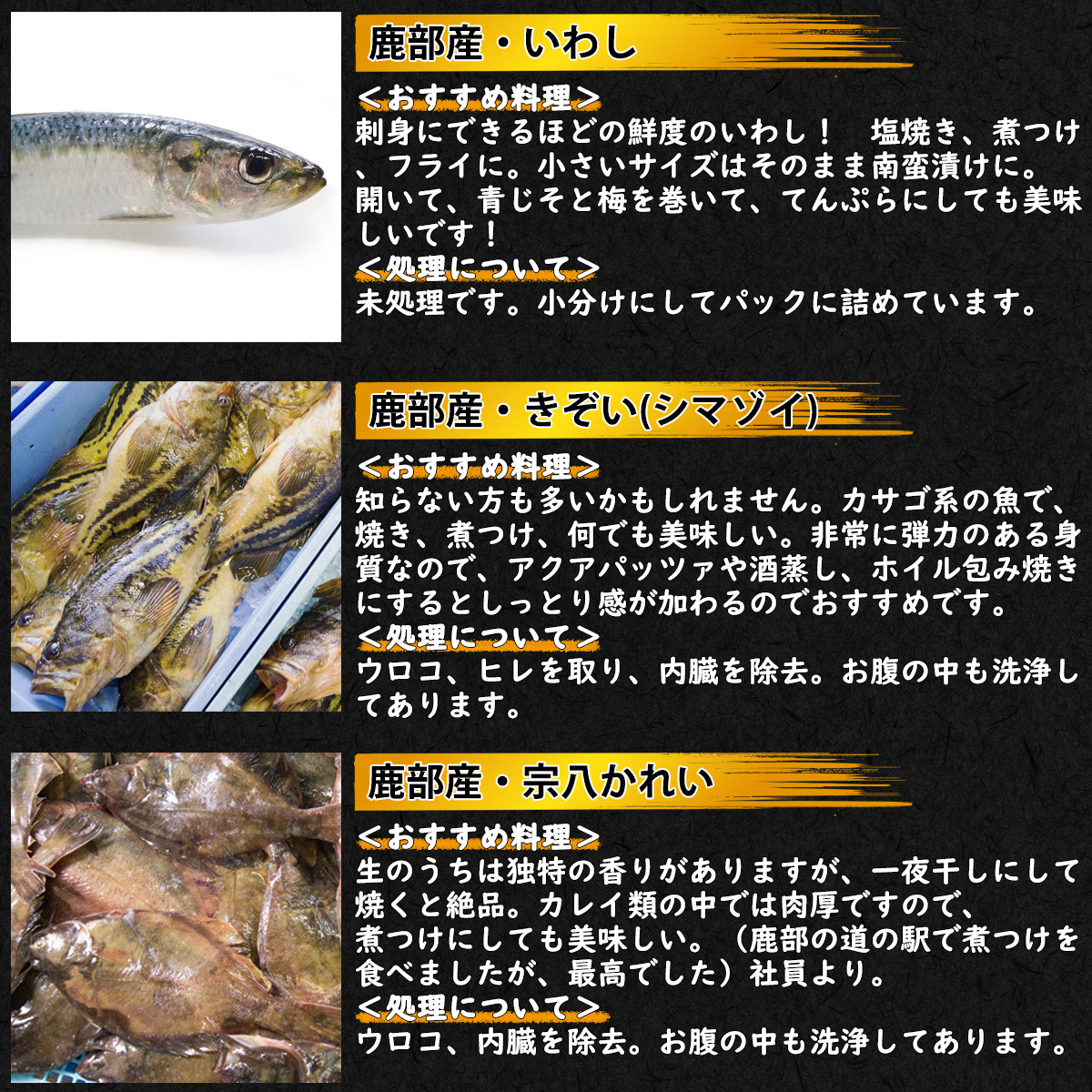 北海道鹿部町の漁師応援プロジェクト ３dエアブラスト凍結法 を使った冷凍鮮魚セット 4 4 5kg 加熱奨励 一部内臓 鱗処理済み 冷凍 鮮魚 海鮮 海産 地元 ホタテ 北海道鹿部町 ふるさと納税 ふるさとチョイス