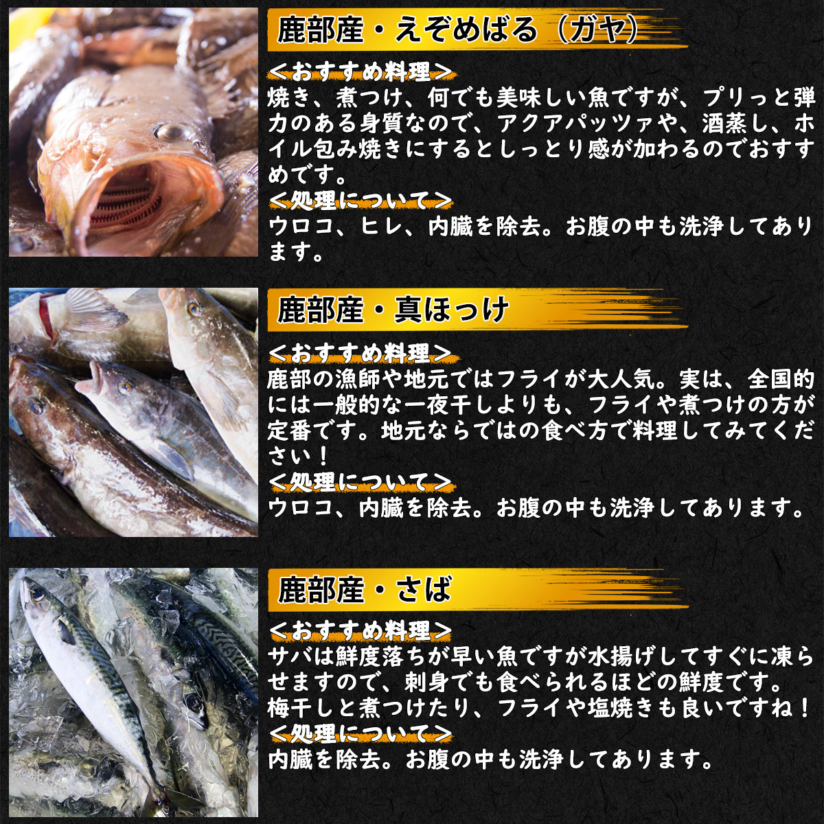 定期便 冷凍鮮魚セット4 4 5kgが毎月届く 12ヶ月お届けコース 漁師応援プロジェクト 北海道鹿部町 ふるさと納税 ふるさとチョイス