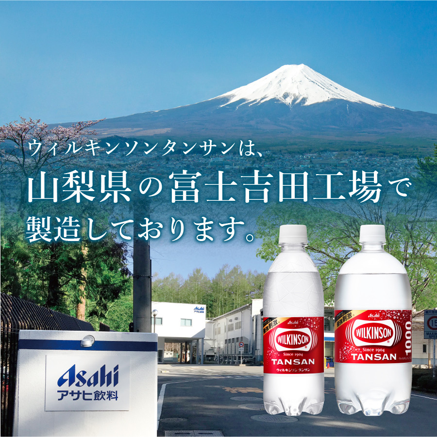 ウィルキンソン タンサン PET500ml＆タンサンエクストラ PET490ml 計48本入り (各24本) - 山梨県富士吉田市｜ふるさとチョイス  - ふるさと納税サイト