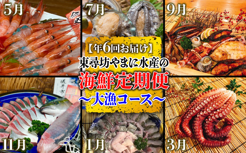 年6回お届け 東尋坊やまに水産の海鮮定期便 大漁コース O 4301 福井県坂井市 ふるさと納税 ふるさとチョイス