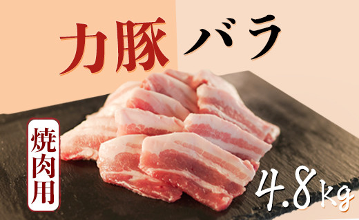 大月町産ブランド豚 力豚バラ 焼き肉用4 8kg 高知県大月町 ふるさと納税 ふるさとチョイス