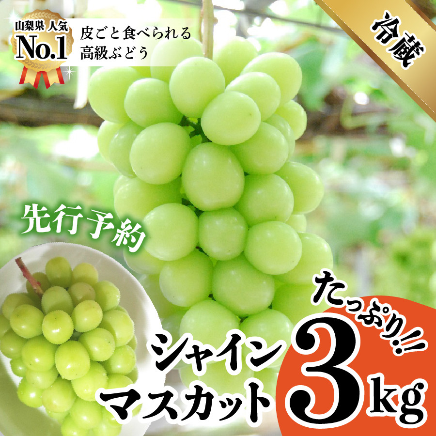 2023年発送分・先行予約】山梨県産シャインマスカット3kg - 山梨県富士