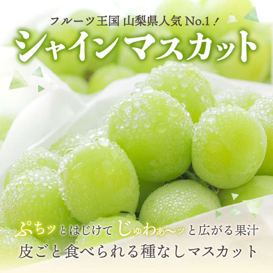 夏季限定】No.31 4kg シャインマスカット 産地直送 摘みたて 山梨県産 ...