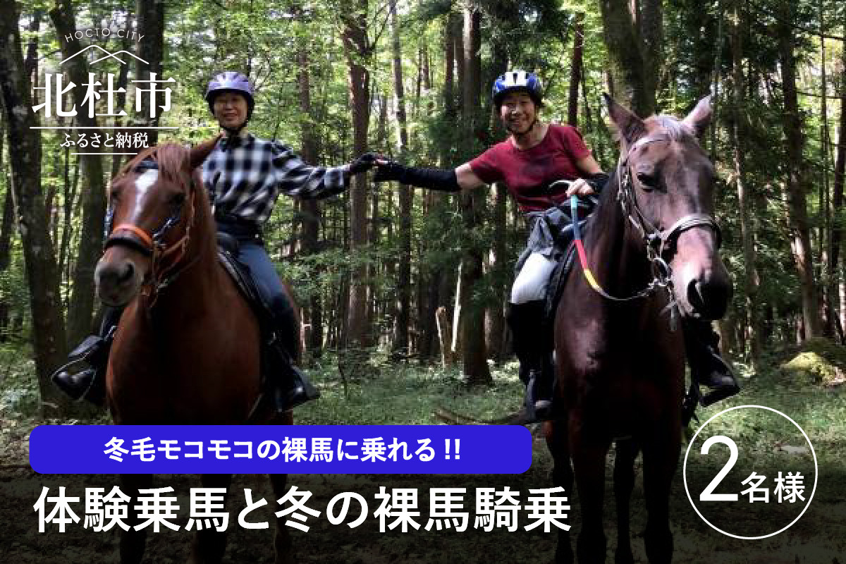 体験乗馬と冬の裸馬騎乗ペアチケット 11 3月実施 山梨県北杜市 ふるさと納税 ふるさとチョイス