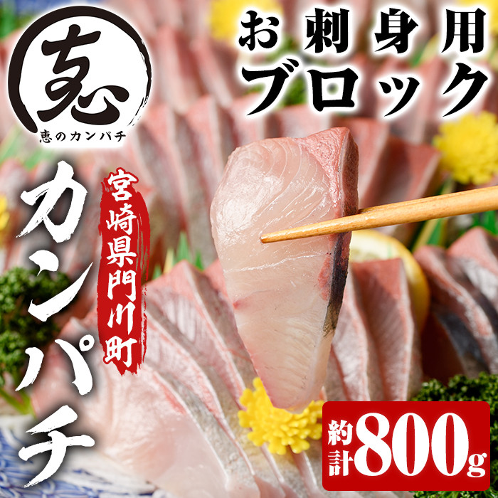 Ao 3 宮崎県産 恵のカンパチ お刺身用ブロック 計約800g 4ブロックの小分けでお届け 濵田水産 宮崎県門川町 ふるさと納税 ふるさとチョイス