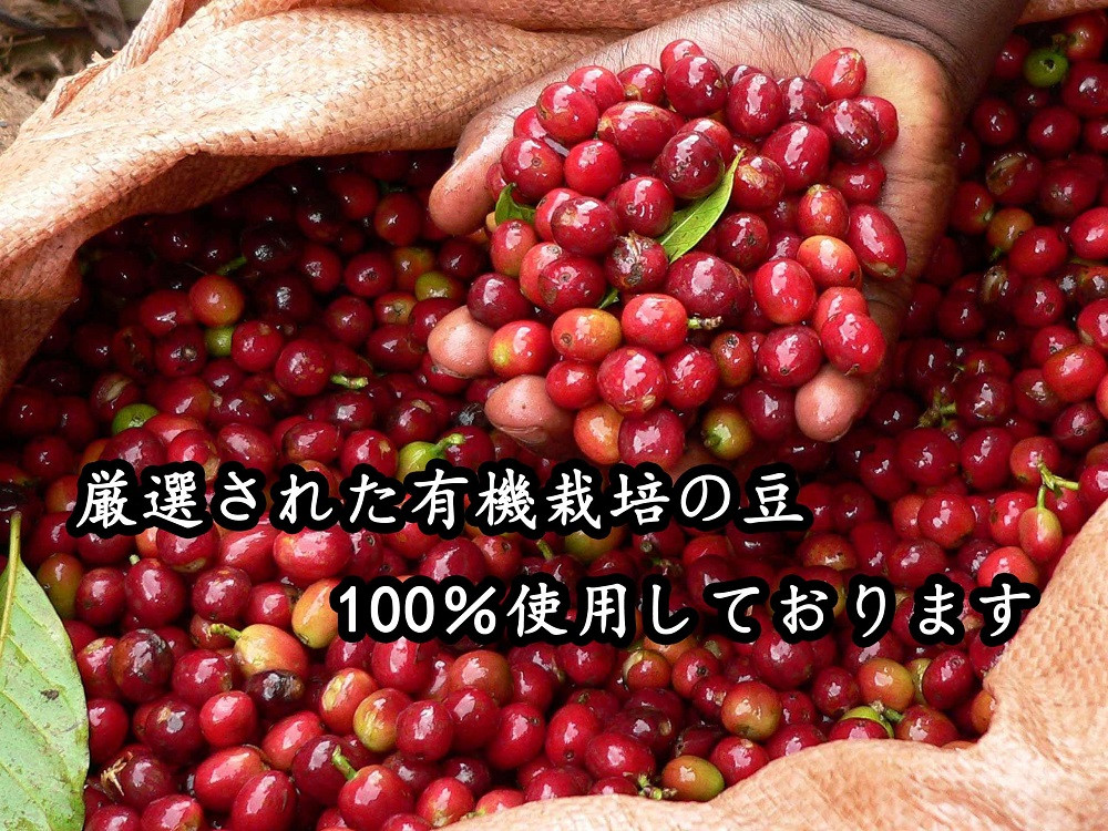 【ギフトに最適！お好きなデザインが選べる】有機栽培の豆100% ドリップバッグ コーヒー ギフトセット（ホット50袋）　H046-039