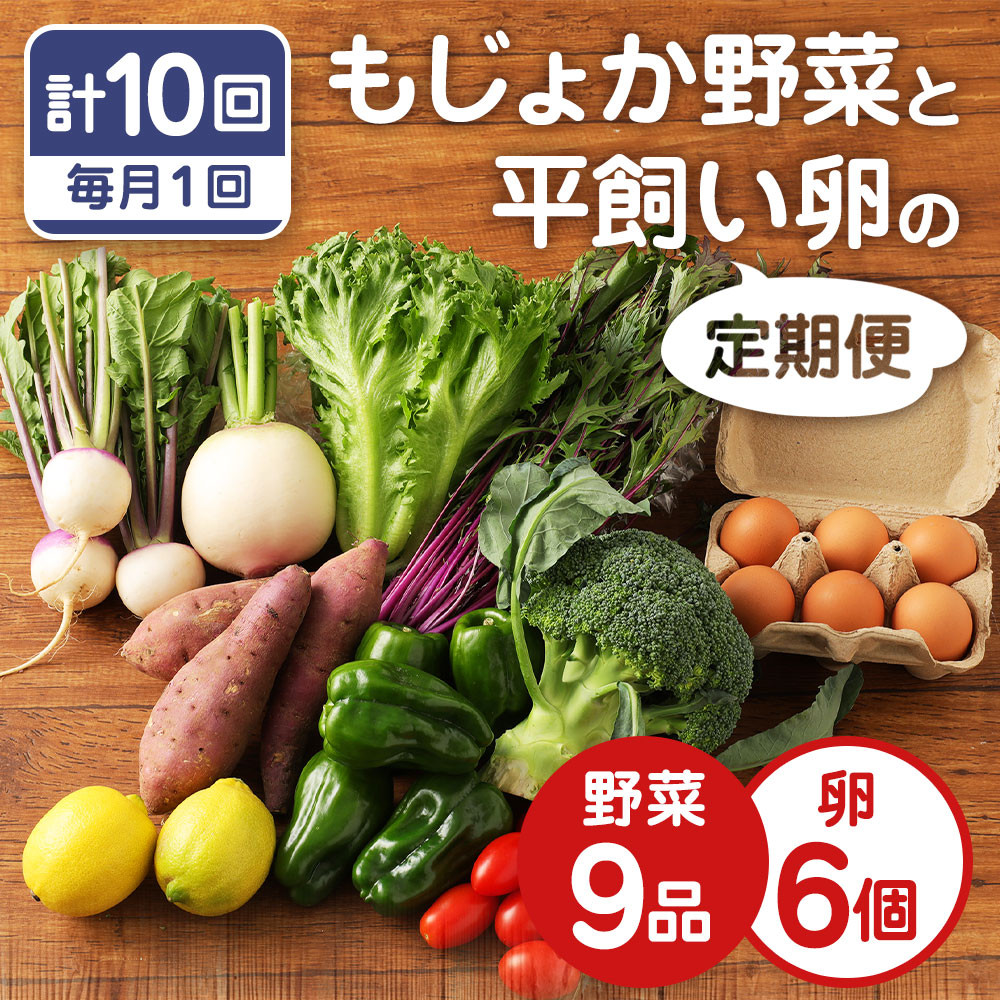 定期便10回】もじょか　ふるさと納税サイト　平飼い　と　野菜　熊本県水俣市｜ふるさとチョイス　卵　(計10回お届け)