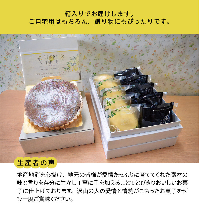 上毛町産レモンを使ったふわふわレモンケーキ 黒レモンケーキ サクふわレモンタルトのセット Kt1002 福岡県上毛町 ふるさと納税 ふるさとチョイス