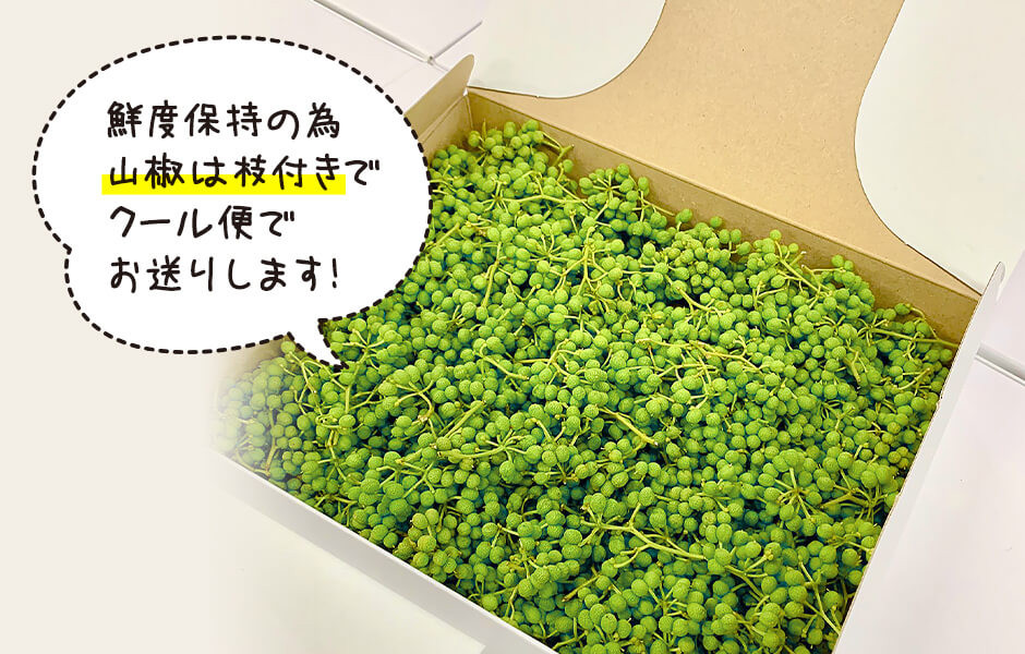 有田の山椒「ぶどう山椒」 500g 実山椒 生山椒 クール便対応 和歌山県産 - 和歌山県有田川町｜ふるさとチョイス - ふるさと納税サイト