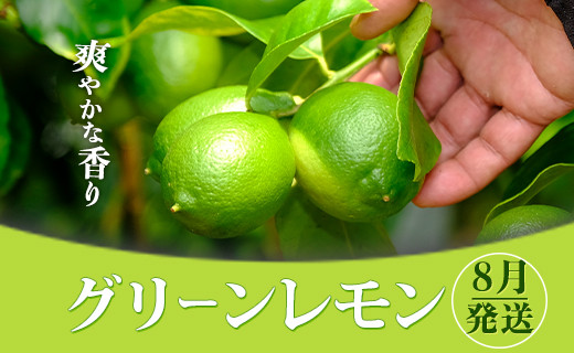 爽やかな香りの温室グリーンレモン 1 2kg 高知県大月町 ふるさと納税 ふるさとチョイス