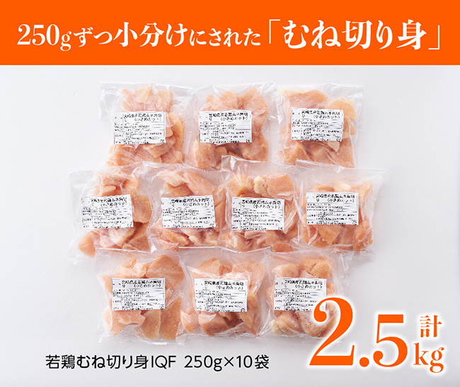 宮崎県産若鶏ムネ切身IQF 2.5kg (250ｇ×10袋) 肉 鶏 鶏肉 - 川南町川南町 | ふるさと納税 [ふるさとチョイス]