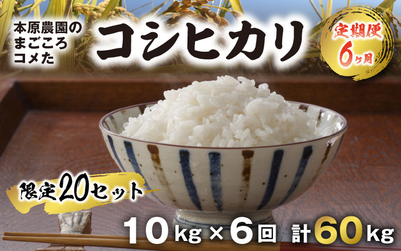 けするお 福井県坂井市丸岡町産 コシヒカリ10kg×6回 計60kg /玄米 無洗米 お米：福井県坂井市 えるので - shineray.com.br