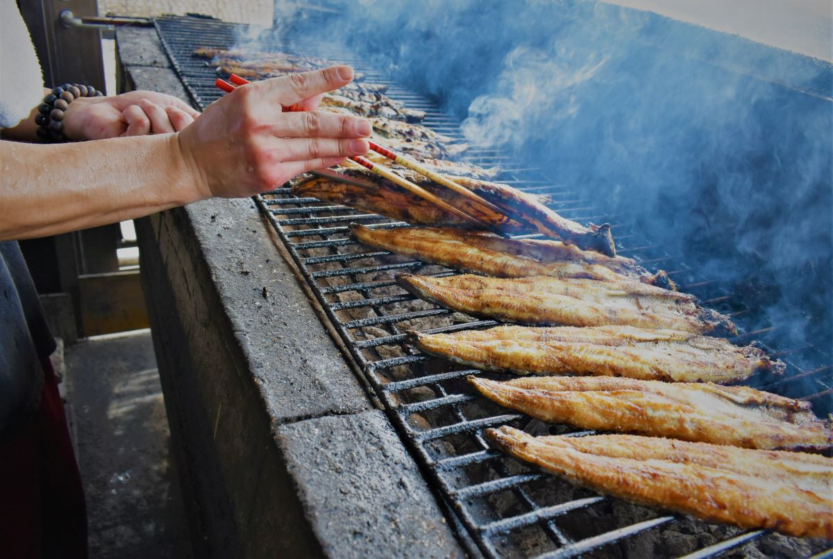 炭火焼き一筋 森うなぎ屋 活き若うなぎの蒲焼2尾 140g 2 と炭火焼の肝 50g とサバの蒲焼 ３切 セット 佐賀県npo支援 ふるさと納税 ふるさとチョイス