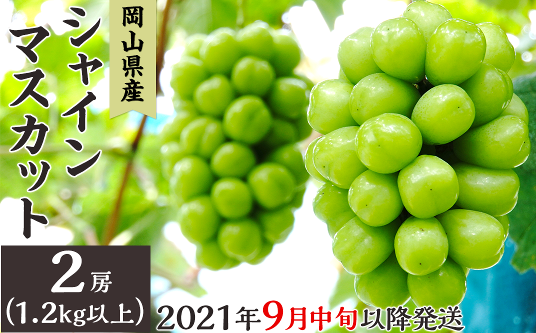 岡山県産シャインマスカット２房（1.2kg以上）【2021年9月中旬以降発送