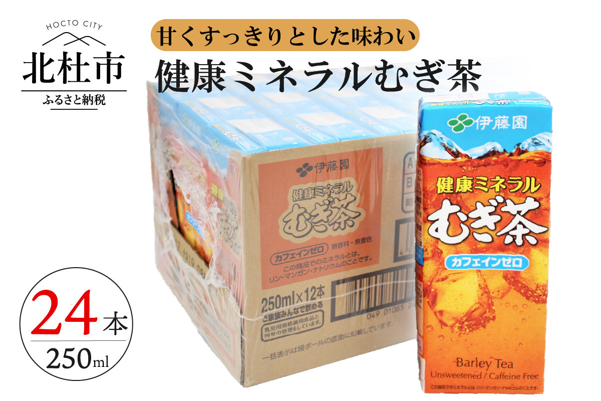 健康ミネラルむぎ茶 250ml 24本 伊藤園 紙パック 山梨県北杜市 ふるさと納税 ふるさとチョイス