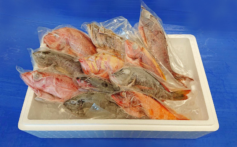 【産地直送】【漁師まちの鮮魚店厳選】おまかせ鮮魚セット（約4kg）