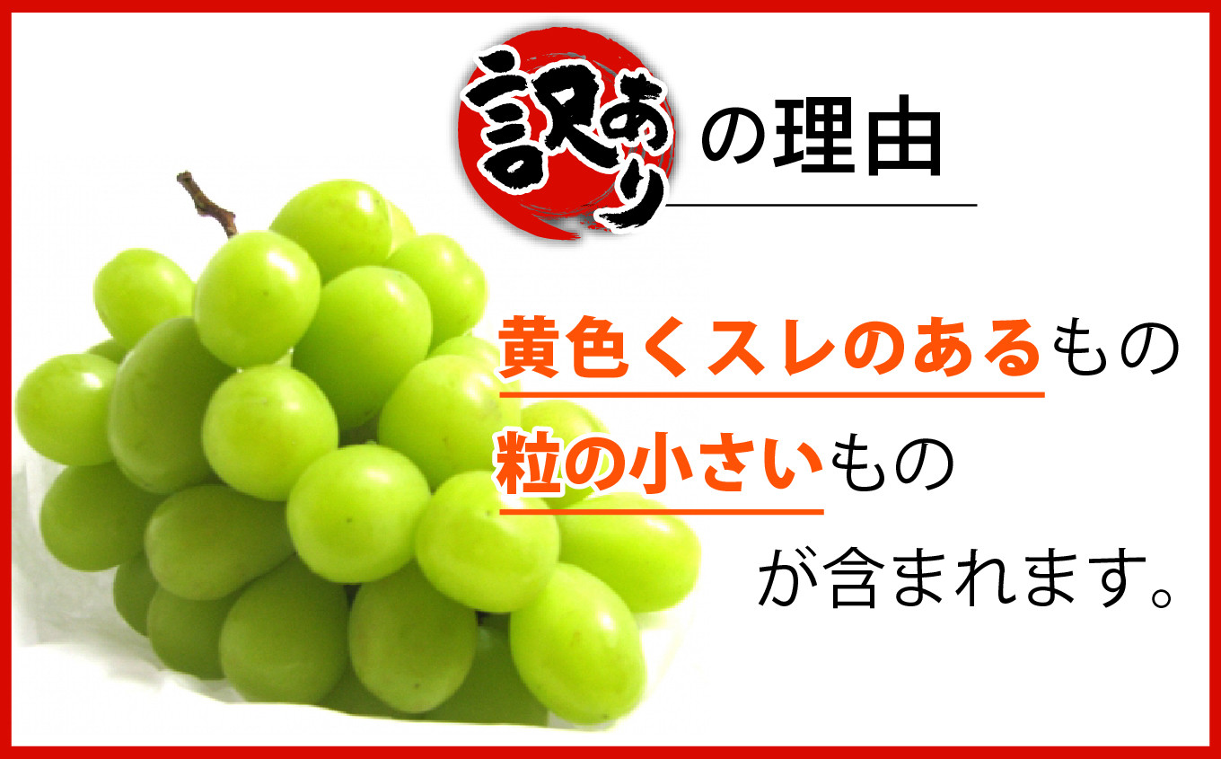 訳ありの理由:スレのあるもの、小粒が含まれます