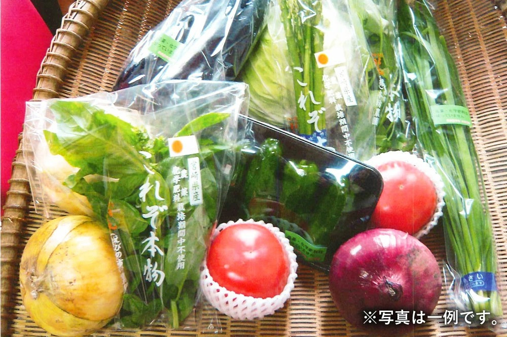 特別栽培 季節のお野菜セット 8品 おまかせ 宮崎県えびの市｜ふるさとチョイス ふるさと納税サイト