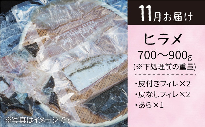 旬のお魚定期便】大島の海の幸を贅沢定期便に！＜大島水産種苗