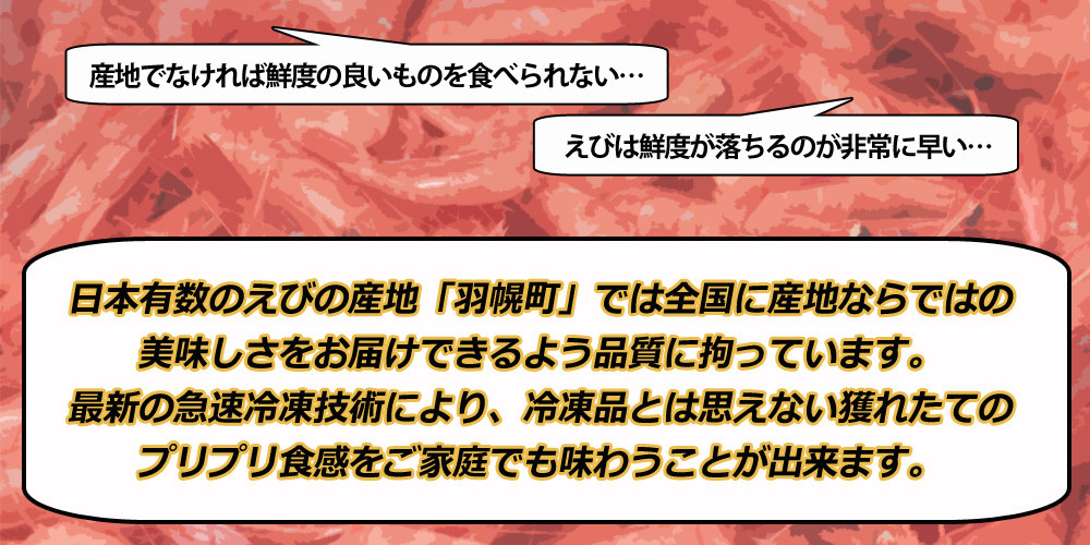 おまとめ配送】3D冷凍で新鮮さそのまま 北海道羽幌産刺身用プリプリ甘えび500g×4パック【05007】 北海道羽幌町｜ふるさとチョイス  ふるさと納税サイト