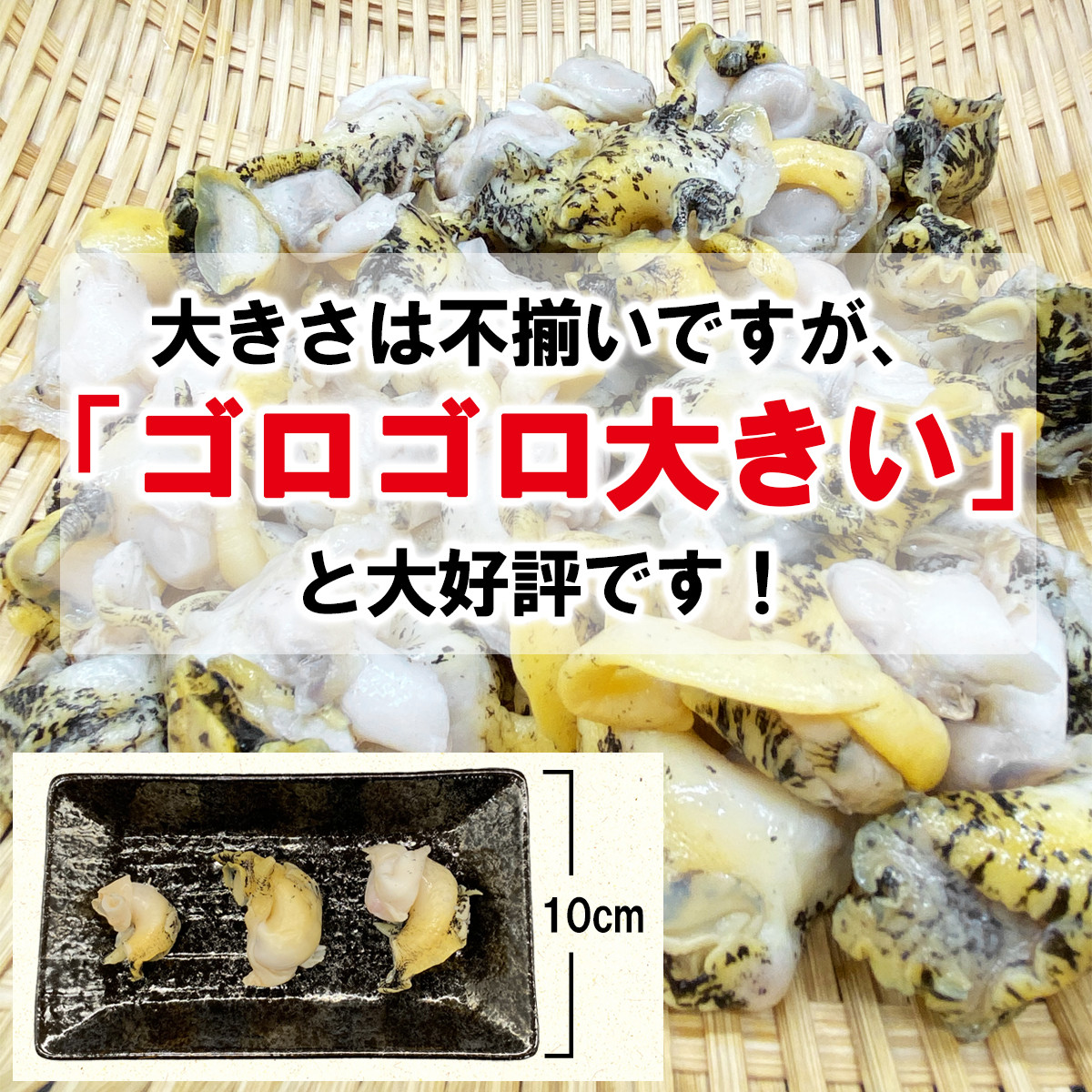 北海道鹿部町産 訳あり 前浜ボイルつぶ １kg 灯台つぶ 500g 2袋 つぶ貝 ツブ貝 刺身 海鮮 海産 北海道鹿部町 ふるさと納税 ふるさとチョイス