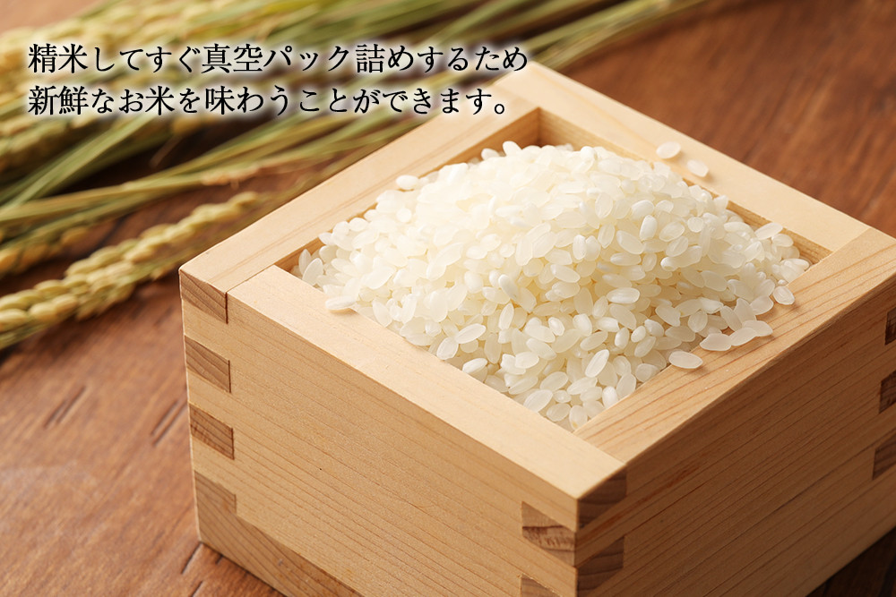 けします 美味しいお米、一等米です！！『安心院のひのひかり』白米
