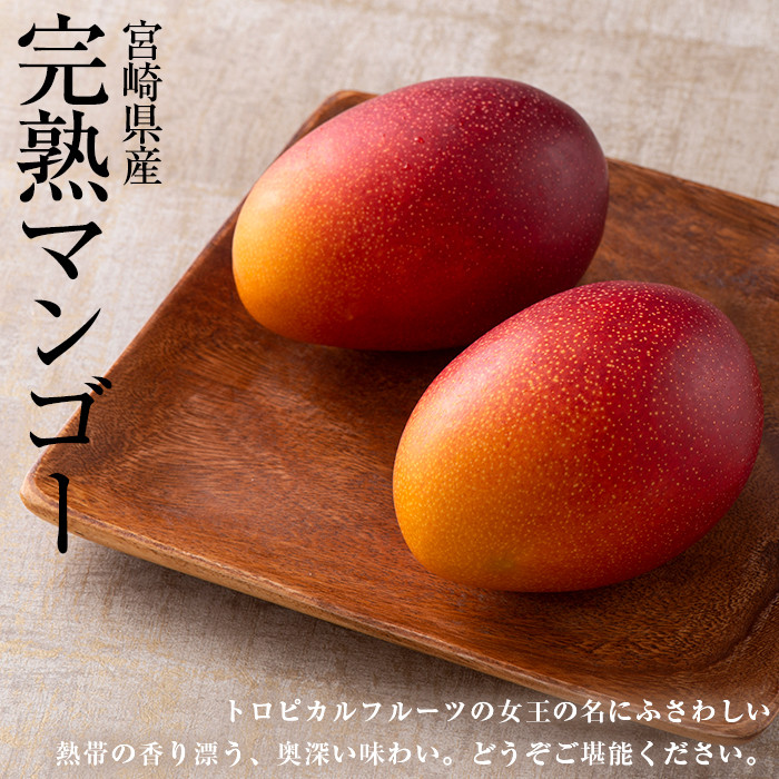 54%OFF!】 サロンドフルーツ 日本橋 予約 6月1日-6月15日の納品 マンゴー 完熟マンゴー 特大 5L 2玉 JA宮崎中央 