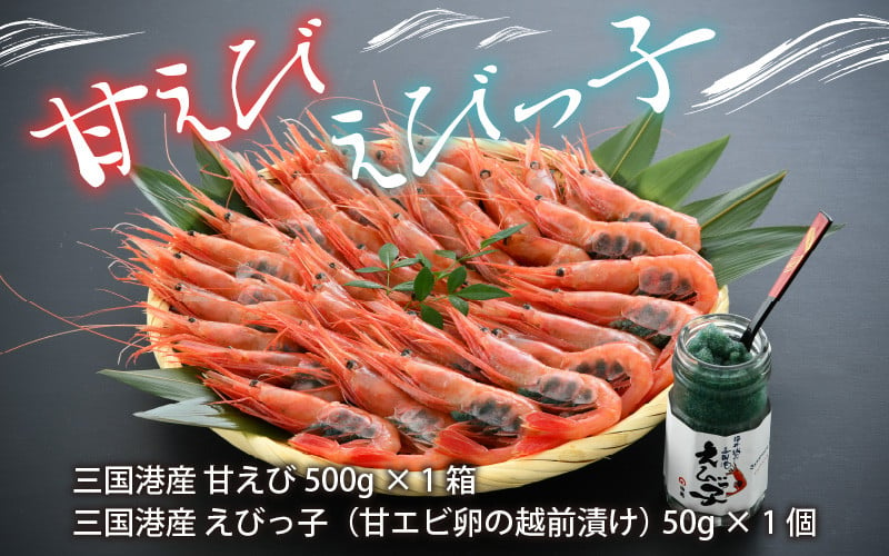 本場の濃厚な 甘えび 約500g えびっ子 約50g A 7004 福井県坂井市 ふるさと納税 ふるさとチョイス