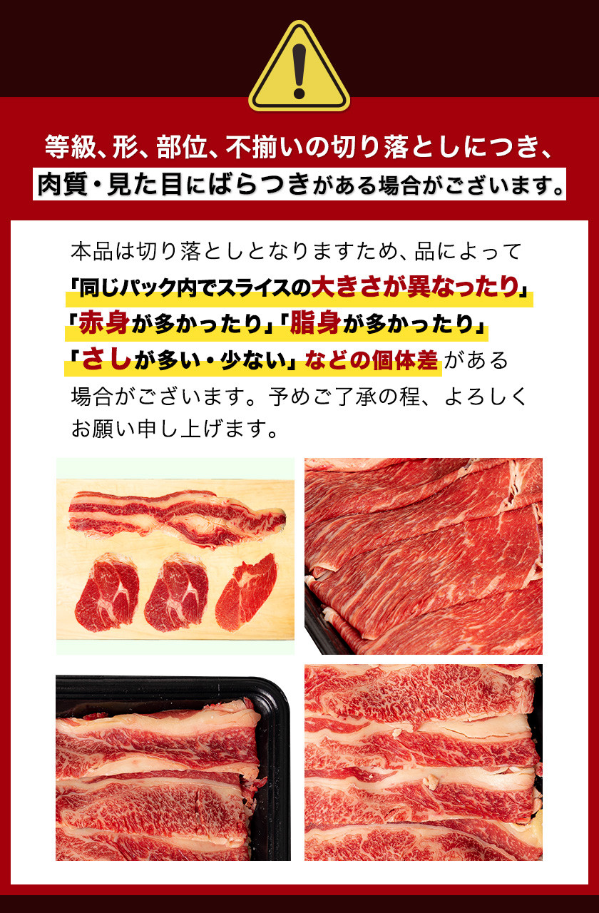 ご家庭用 あか牛（褐毛和牛）切り落とし福袋 1.2kg 熊本県産 肉 和牛 牛肉 冷凍 規格外 不揃い《90日以内に順次出荷(土日祝除く)》送料無料  - 氷川町氷川町 | ふるさと納税 [ふるさとチョイス]