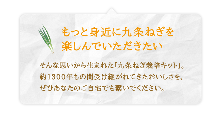 こと京都】自宅で「つくれる」「食べられる」九条ねぎ栽培キット - 京都府京都市｜ふるさとチョイス - ふるさと納税サイト