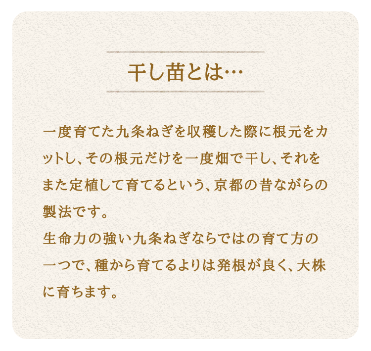 こと京都】自宅で「つくれる」「食べられる」九条ねぎ栽培キット - 京都府京都市｜ふるさとチョイス - ふるさと納税サイト