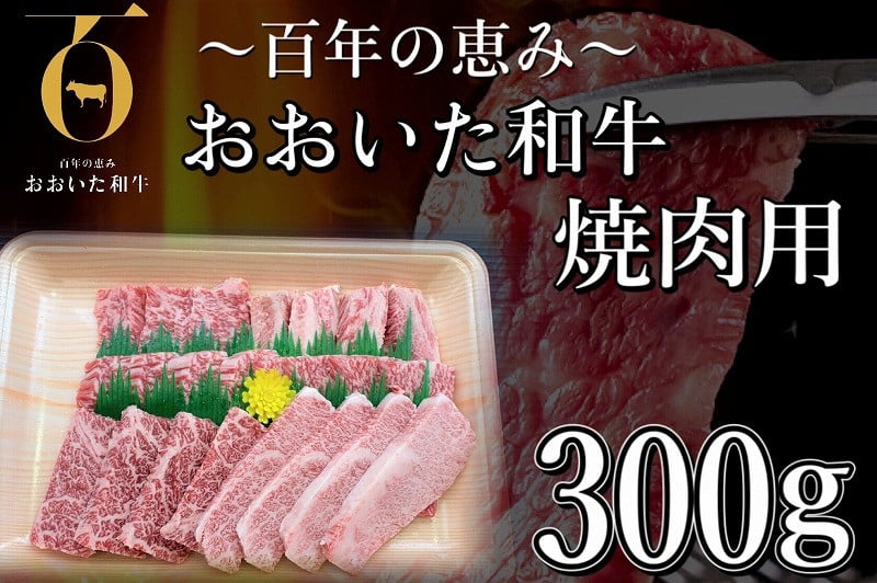 市場 ふるさと納税 個包装で超便利 お試し用 事業者支援対象謝礼品 約800g