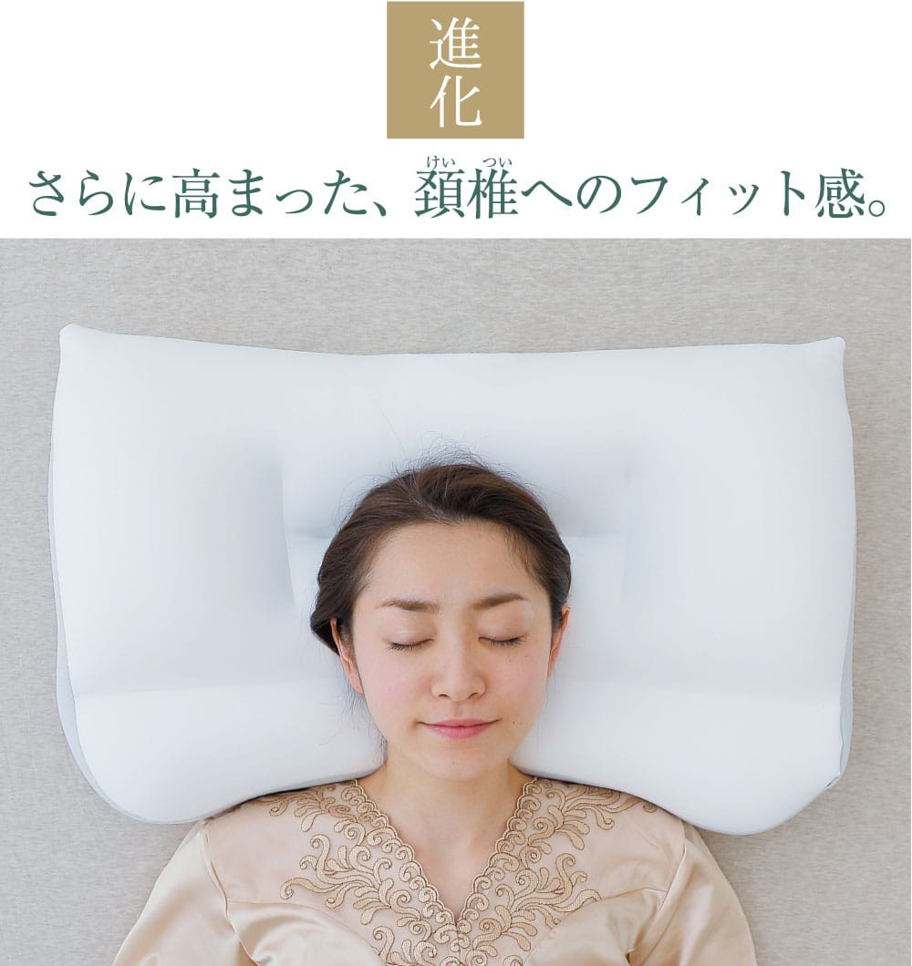 AA156 新・王様の夢枕 低めタイプ (超極小ビーズ素材、専用枕カバー 