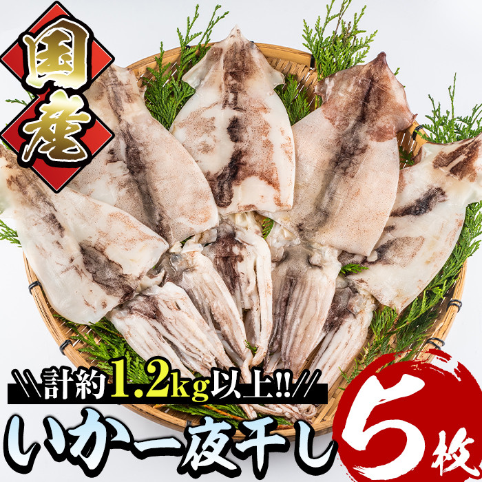 E-16】国産いか一夜干し5枚セット(計約1.2kg以上)【水永水産】 - 宮崎県門川町｜ふるさとチョイス - ふるさと納税サイト