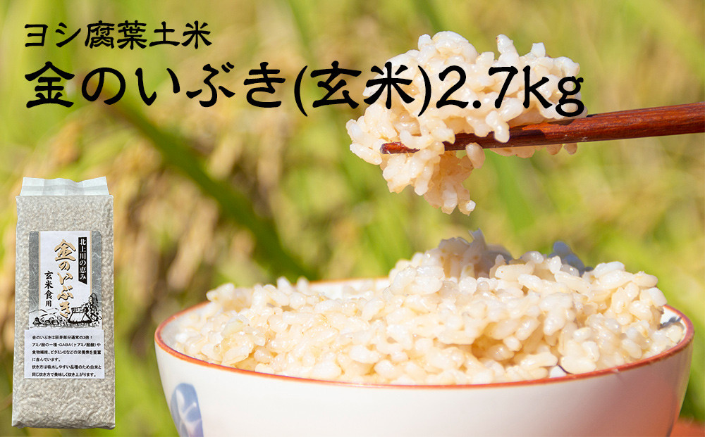 無洗米　TO　7kg×12回(計84kg)　つや姫　価格比較　酒田市　山形県　ふるさと納税　SP0003