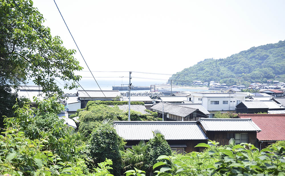 写真