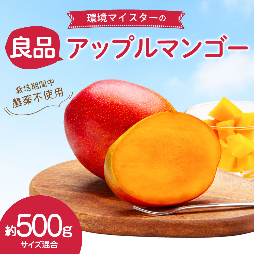 【栽培期間中、農薬不使用！】アップルマンゴー 1kg(2〜3個)