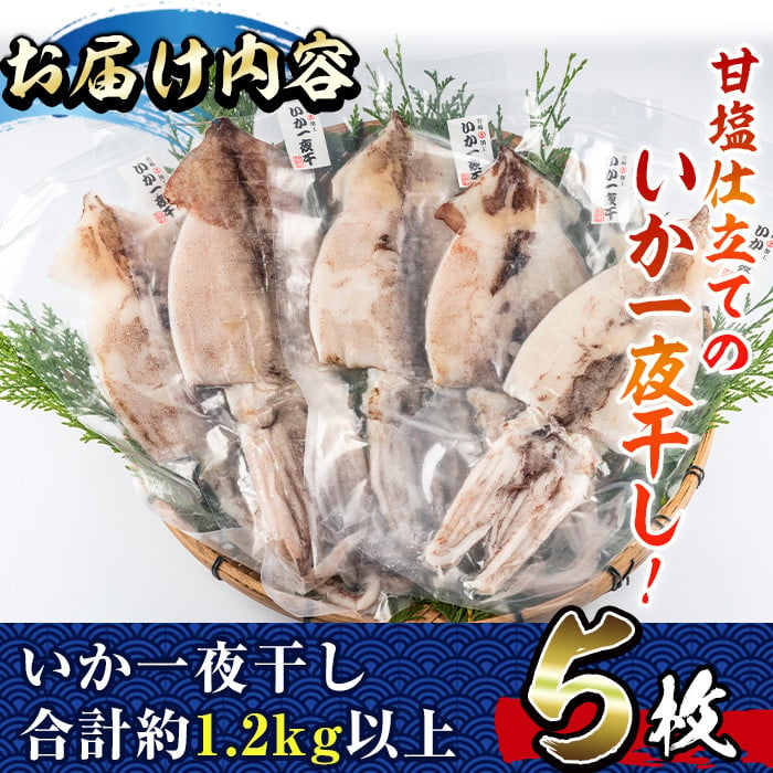 E-16】国産いか一夜干し5枚セット(計約1.2kg以上)【水永水産】 - 宮崎県門川町｜ふるさとチョイス - ふるさと納税サイト